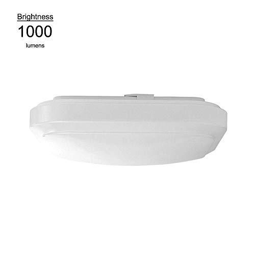 Hampton Bay 1000236636 Lighting