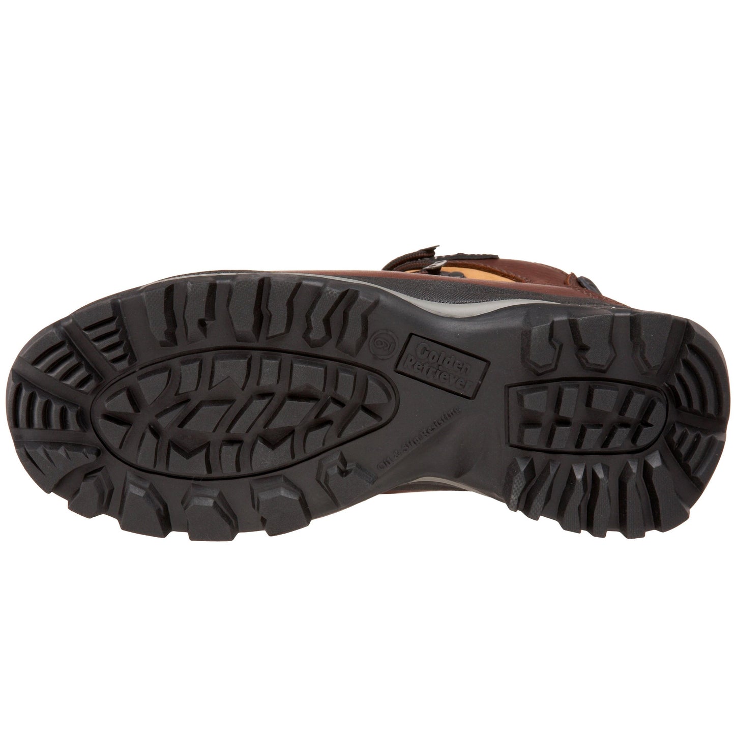 Golden Retriever Men's Safety Toe Waterproof Hiker,Brown,9 W US