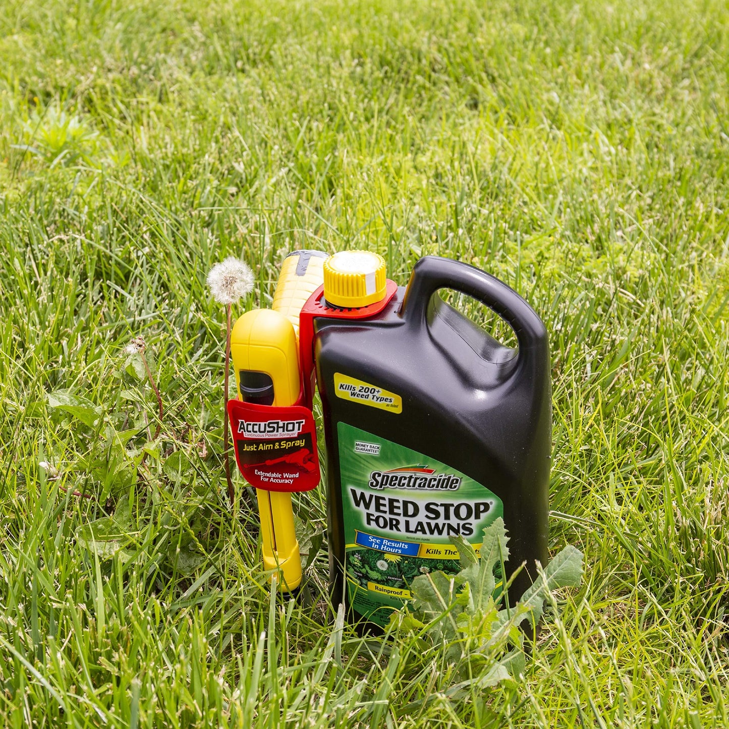 Spectracide Weed Stop For Lawns, AccuShot Sprayer, 1-Gallon