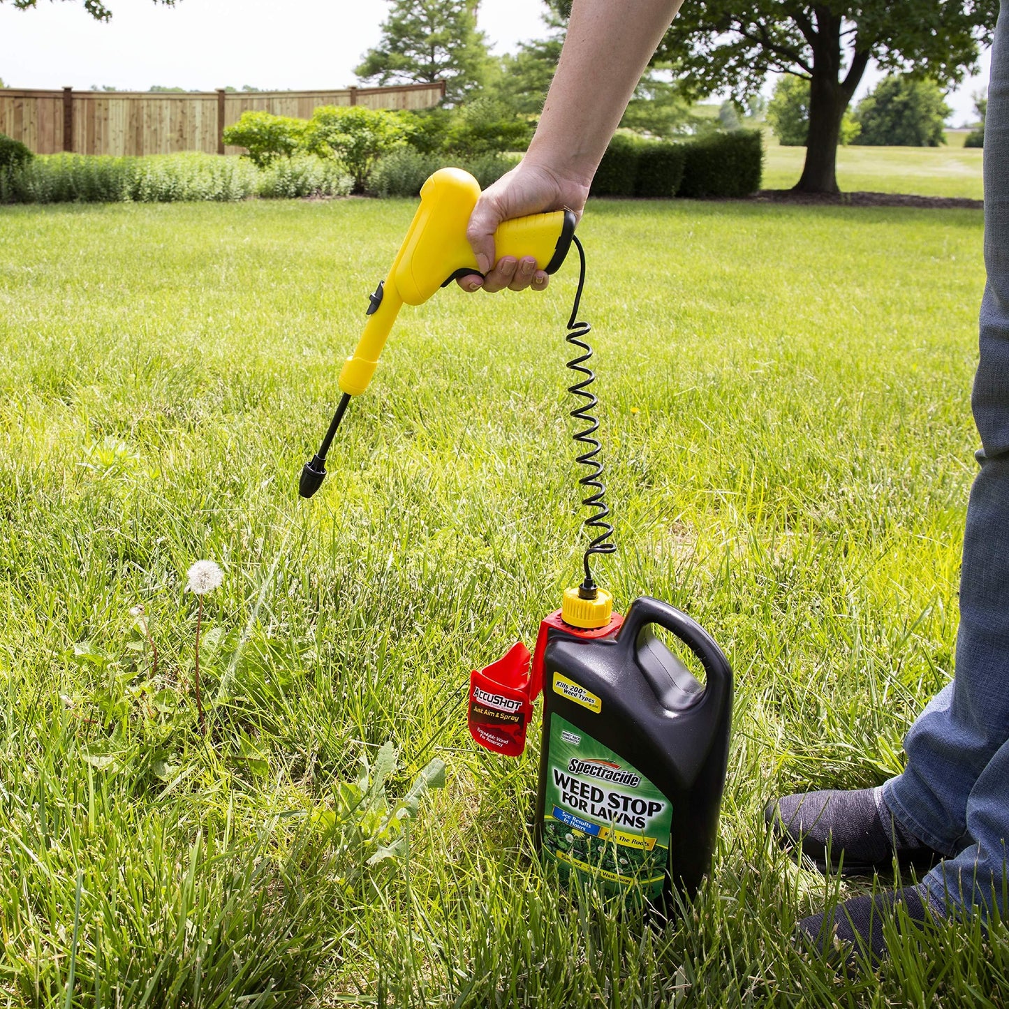 Spectracide Weed Stop For Lawns, AccuShot Sprayer, 1-Gallon