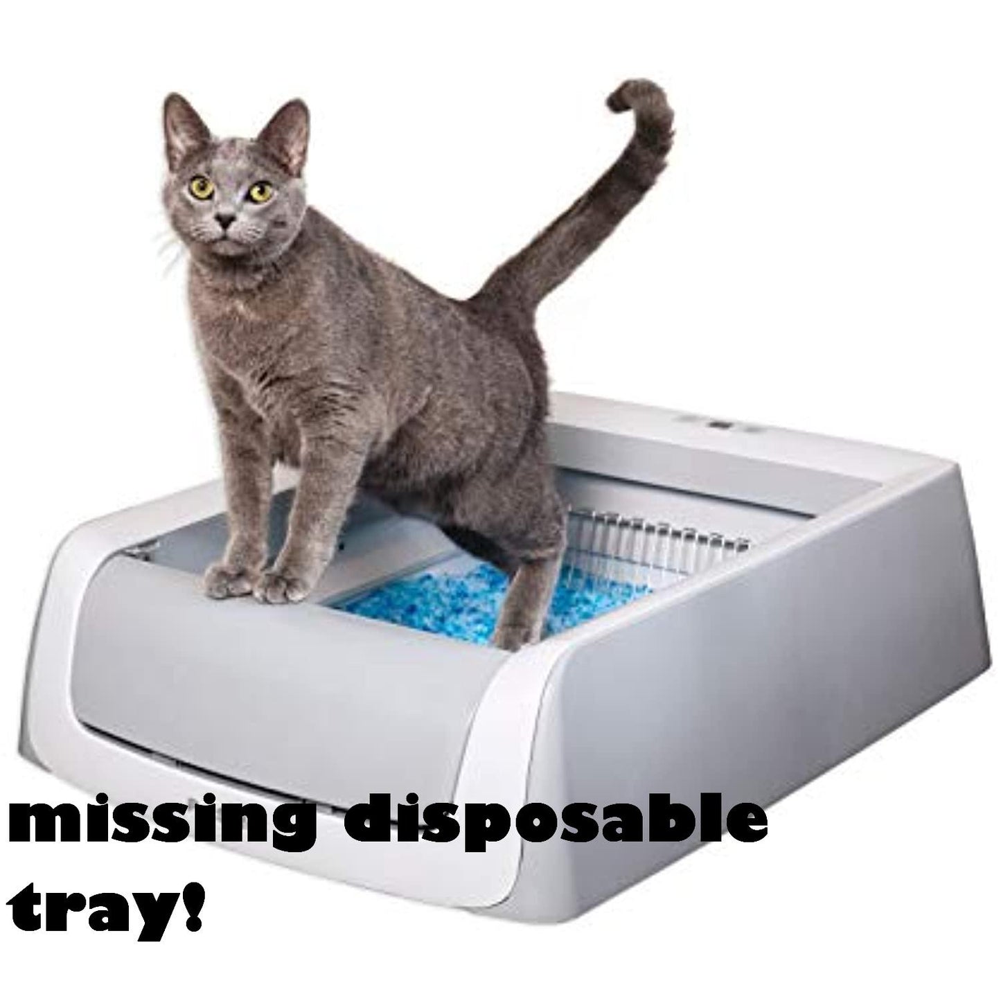 PetSafe ScoopFree Self-Cleaning Litter Box- **Missing Disposable Tray (USED)